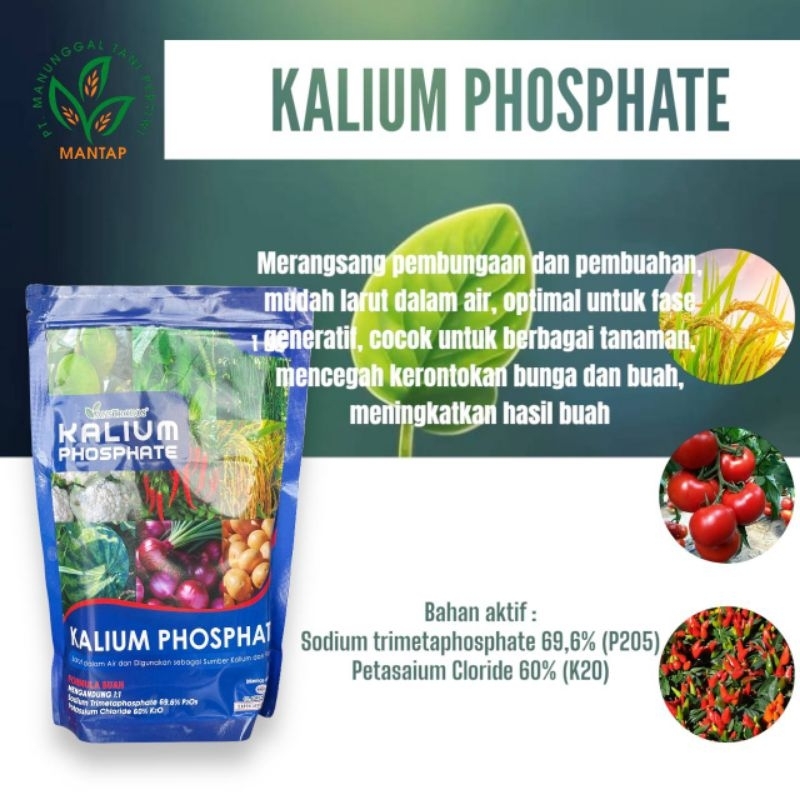 KALIUM PHOSPATE 1KG