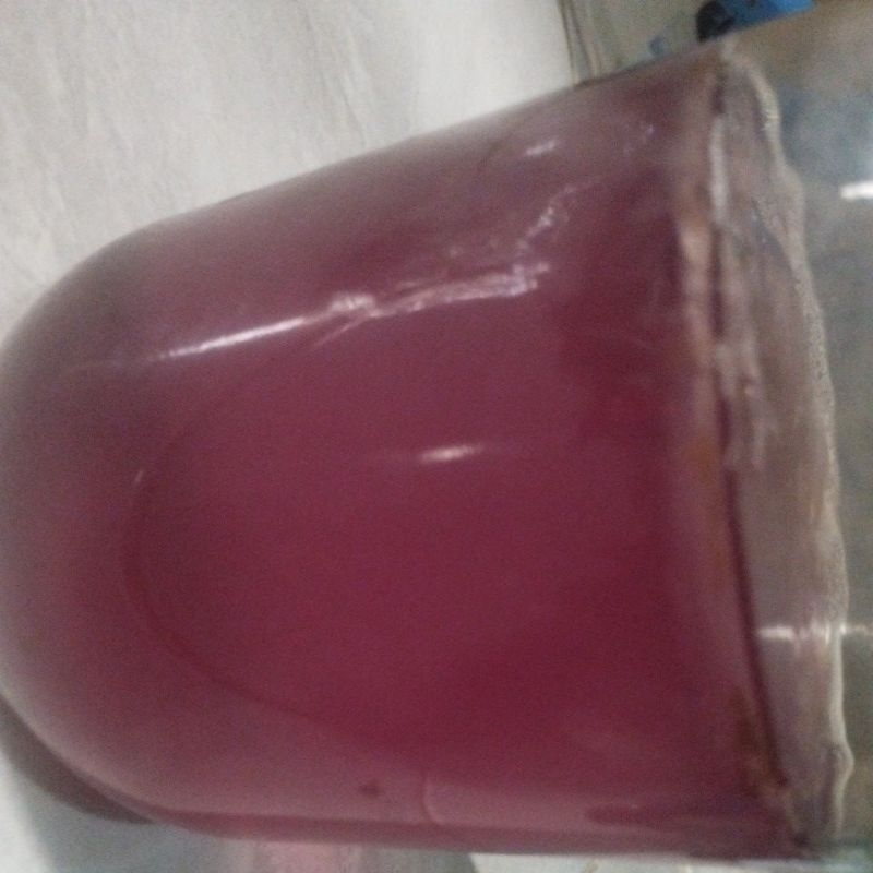 

kombucha kembang telang