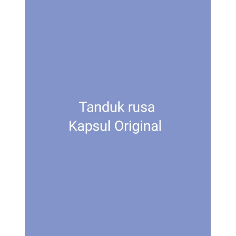Tanduk rusa kapsul mantap