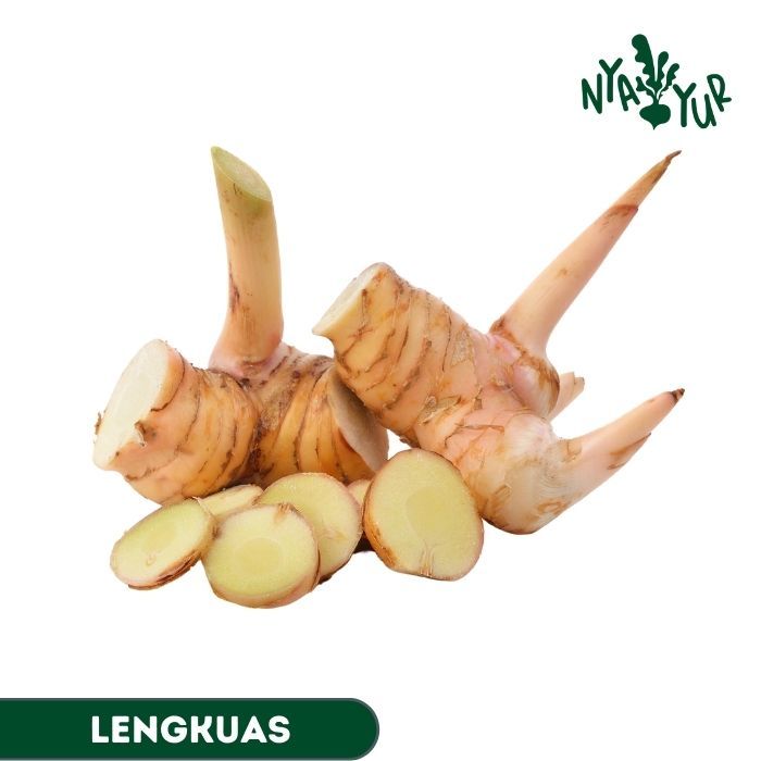 

INSTAN - Lengkuas Segar 250gr