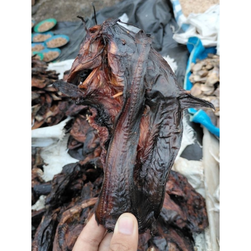 

IKAN SEMBILANG SALAI/ASAP KUALITAS SUPER