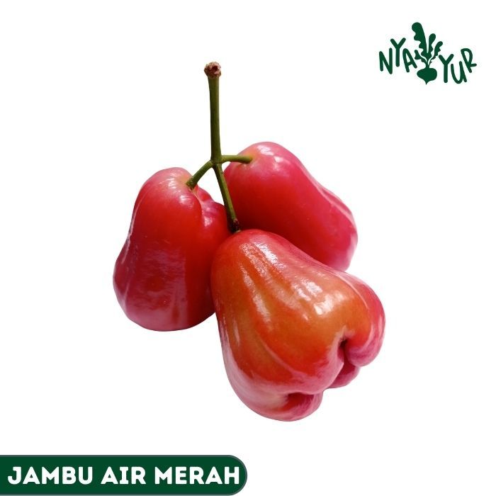 

INSTAN - Jambu Air Segar 500gr