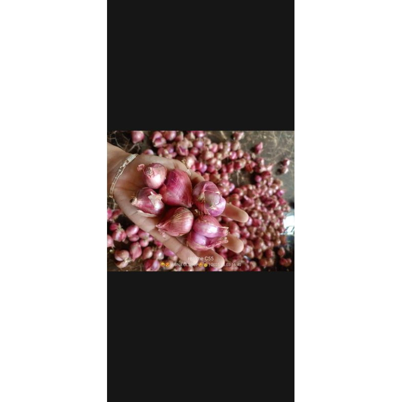

Bawang merah kemas 1kg siap kirim