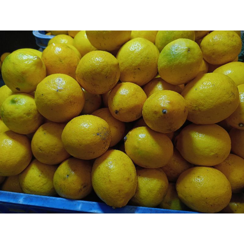 

Jeruk lemon fresh 1 kg ,1/2kg