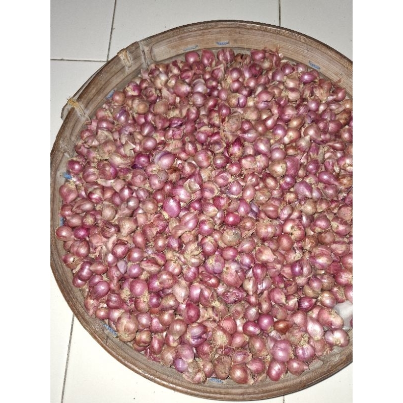 

Bawang Merah Tanggung Fresh – Kualitas Bagus & Tahan Lama