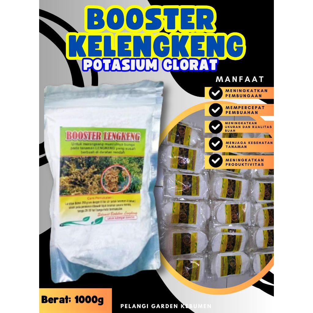 TERBAIK  Booster Kelengkeng Matalada, Booster Kelengkeng Merah Sudah Berbuah