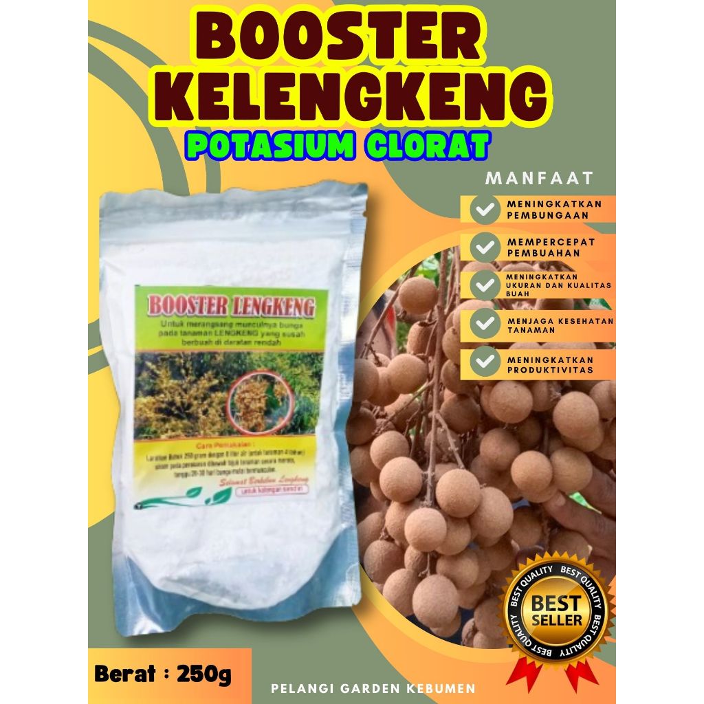 TERBAIK ! Booster Kelengkeng Matalada, Booster Kelengkeng Merah Sudah Berbuah