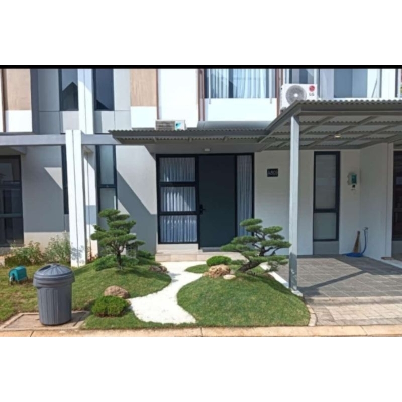 taman japanese cemara udang