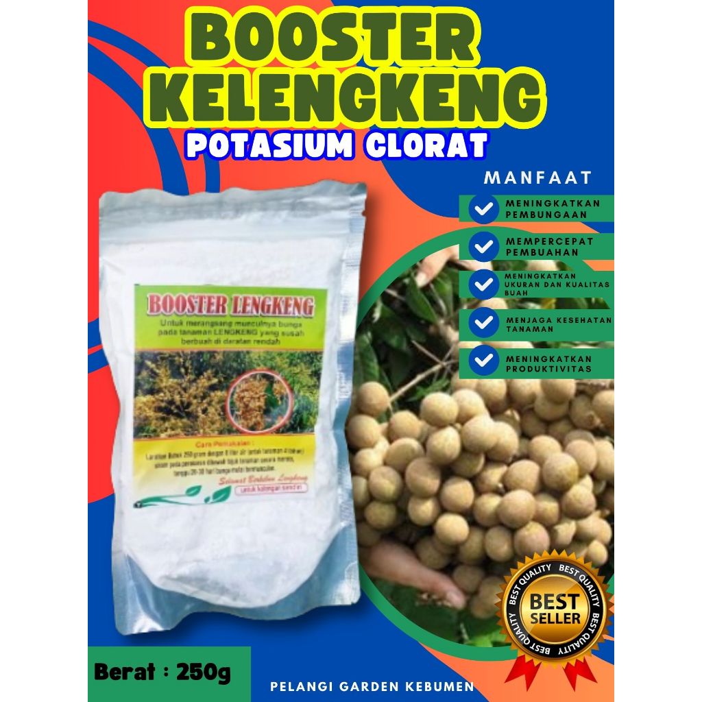 BEST SELLER  Boster Kelengkeng Berbuah, Boster Kelengkeng Berbunga, Boster Kelengkeng Cepat Berbuah