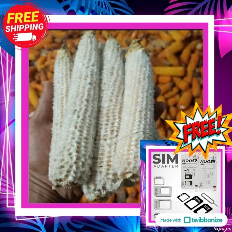 

Janggel / Bonggol Jagung Kering – Pakan Ternak, Media Tanam, Briket | 1kg & 500g