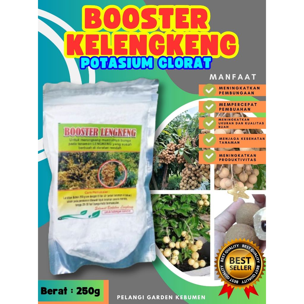 SOLUSI AMPUH  Boster Kelengkeng New Kristal Cangkok, Boster Kelengkeng New Kristal Berbuah