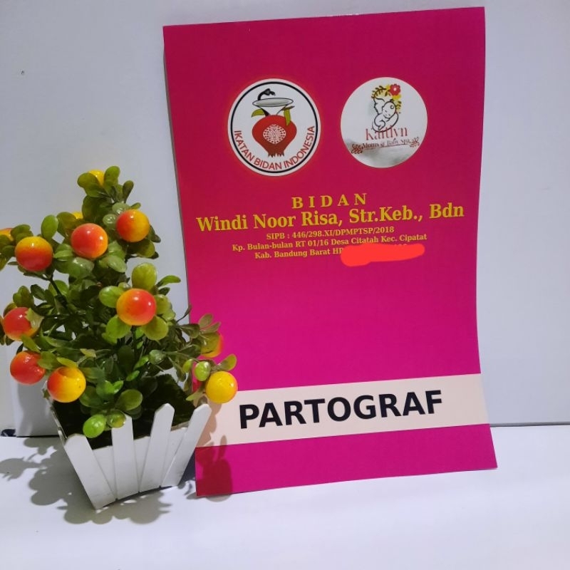 

Partograf Ecer Isi 50 Lembar