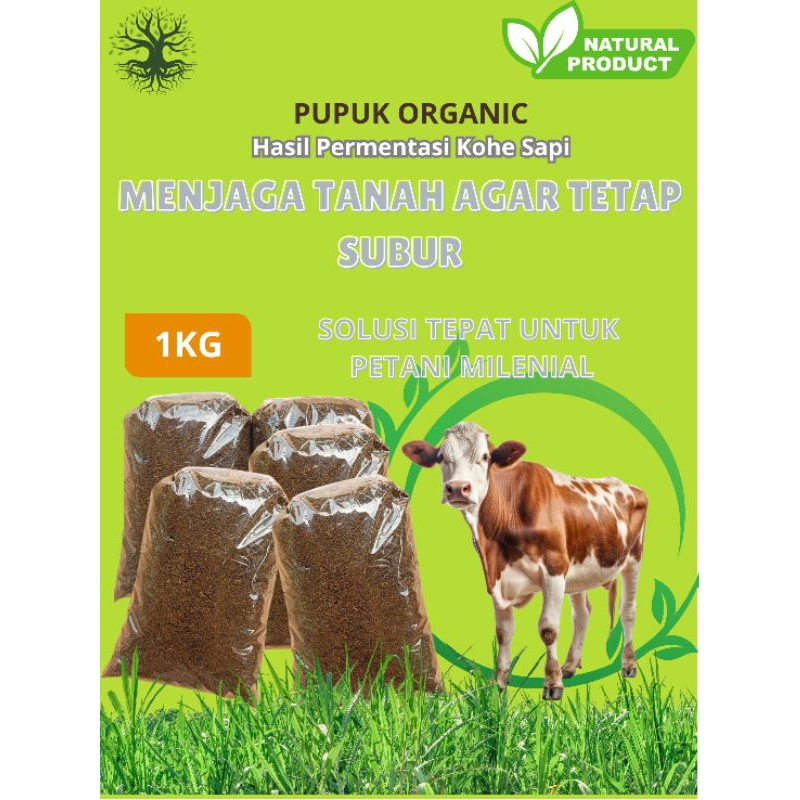 Pupuk organik kotoran sapi