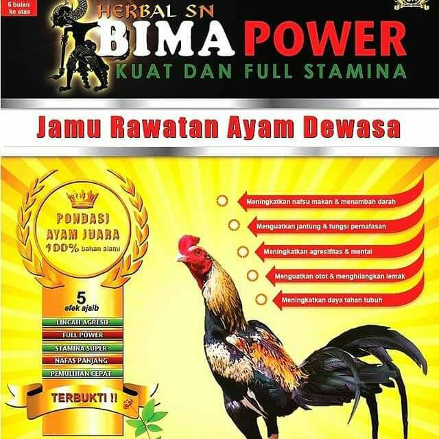 (The Bool's) Bima Power 20 butir Vitamin Jamu Ayam Bangkok Jago Sasana Ngapak