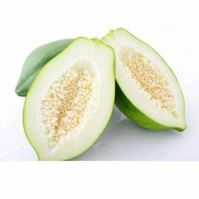 

pepaya muda