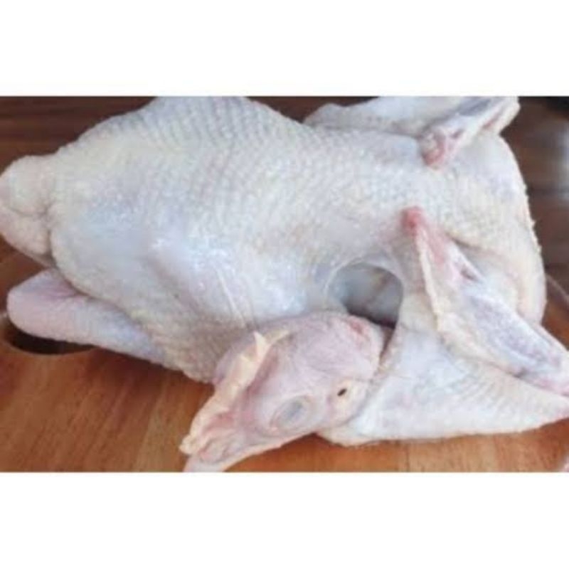 

ayam merah 1 ekor