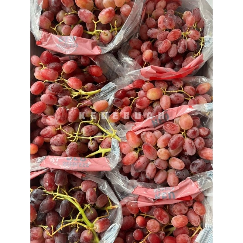 

Anggur Red Crimson Seedless Australia (Buy 1 Kg Free 1 Kg)