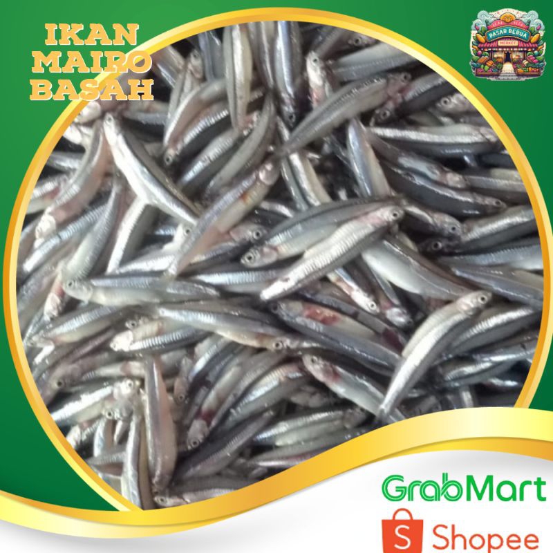 

Ikan Mairo Basah ~ Murah Pasar Induk Daring