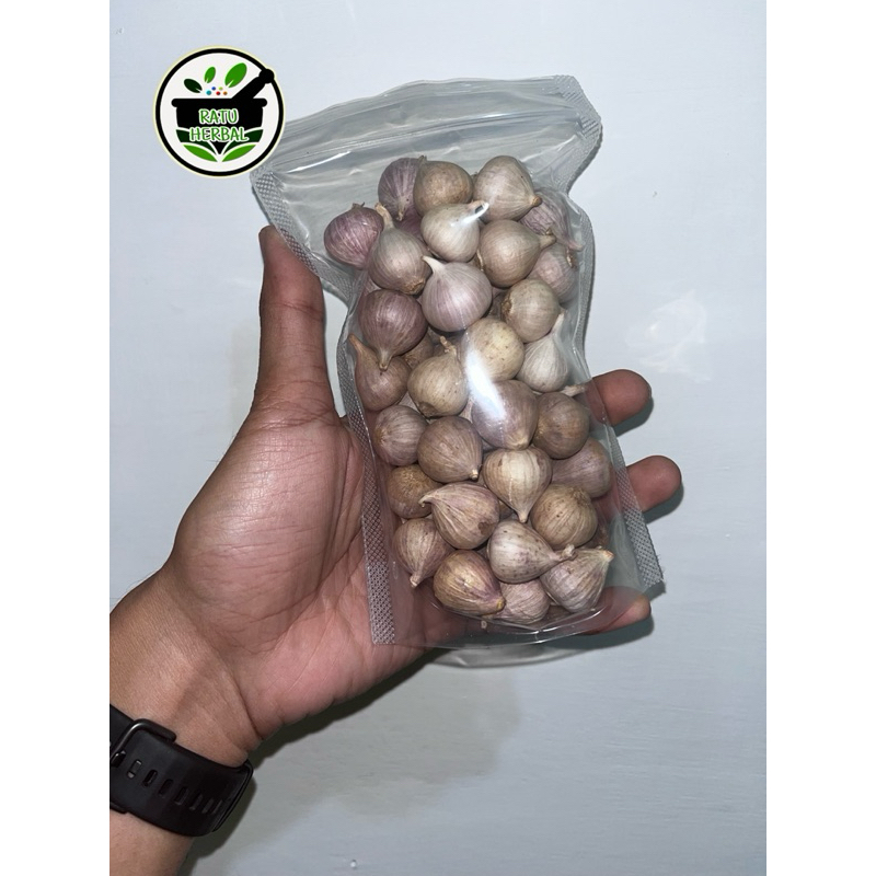 

Bawang Putih Lanang Kemasan 250gr