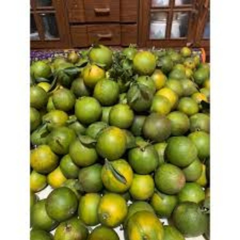 

buah jeruk peras mnis 3kg