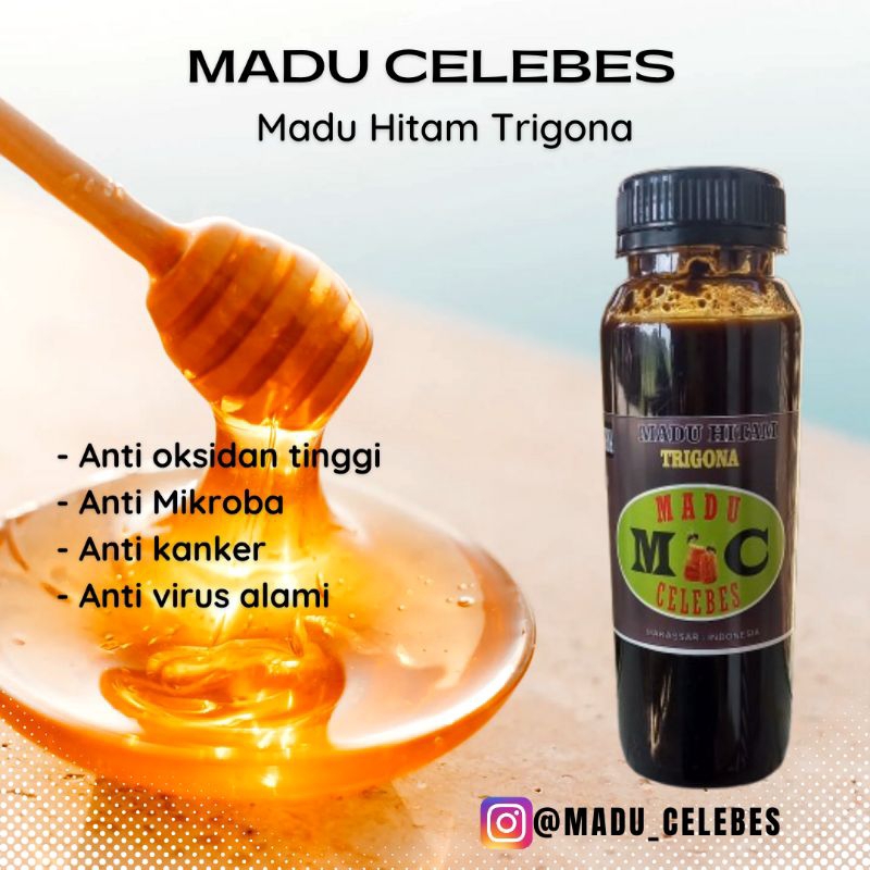 

Madu hitam trigona