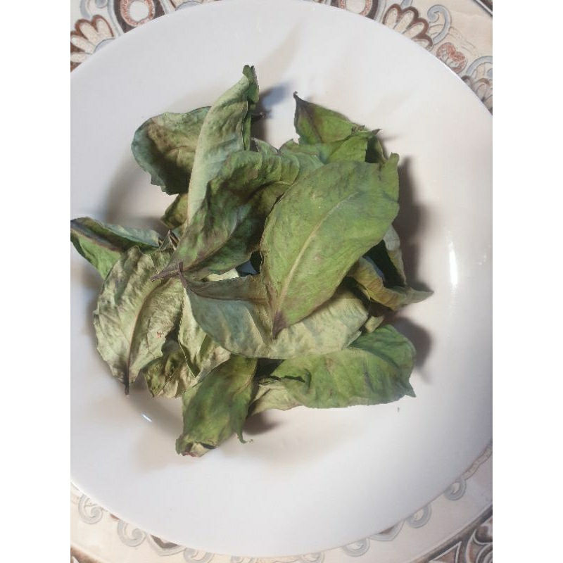 

Daun Salam (kering & segar)