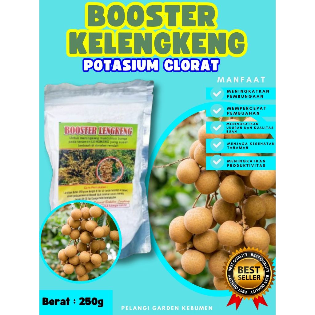 BEST SELLER  Booster Kelengkeng Kclo 3 Murni, Booster Kelengkeng Kclo 3, Booster Kelengkeng Kclo250 