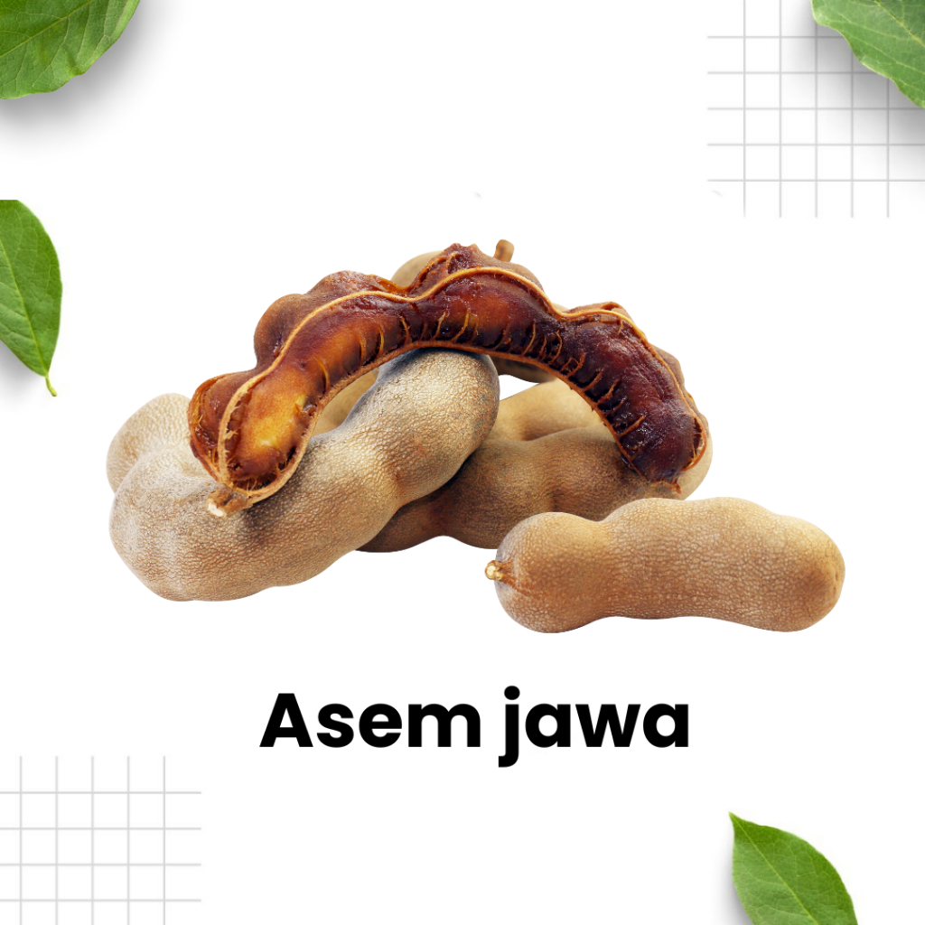 

Asem Jawa 100gr / asam jawa / masakan rumah / sop asem / sayur segar / Sidoarjo Surabaya