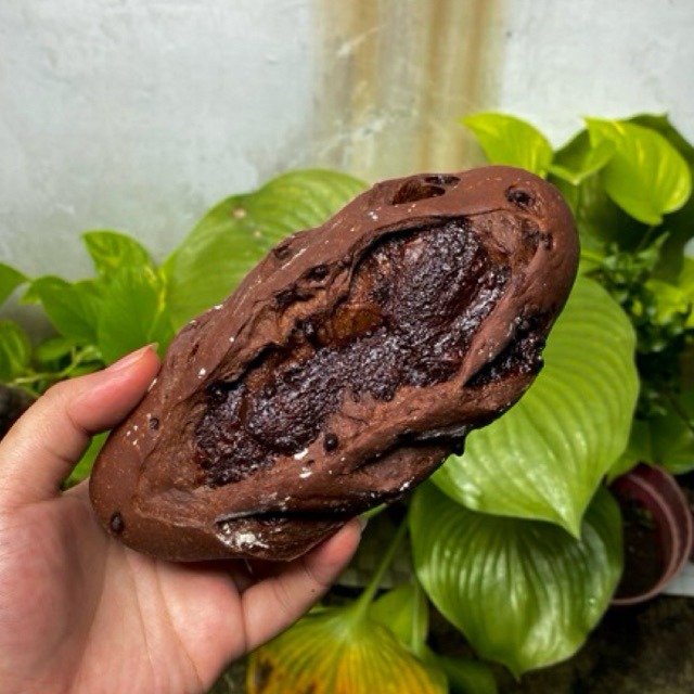 

[PO] Soft Sourdough by @bitesnbites.id