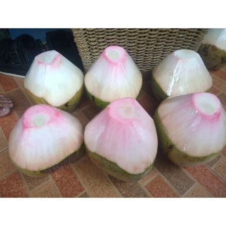 

Kelapa Ijo Asli Packing Instant