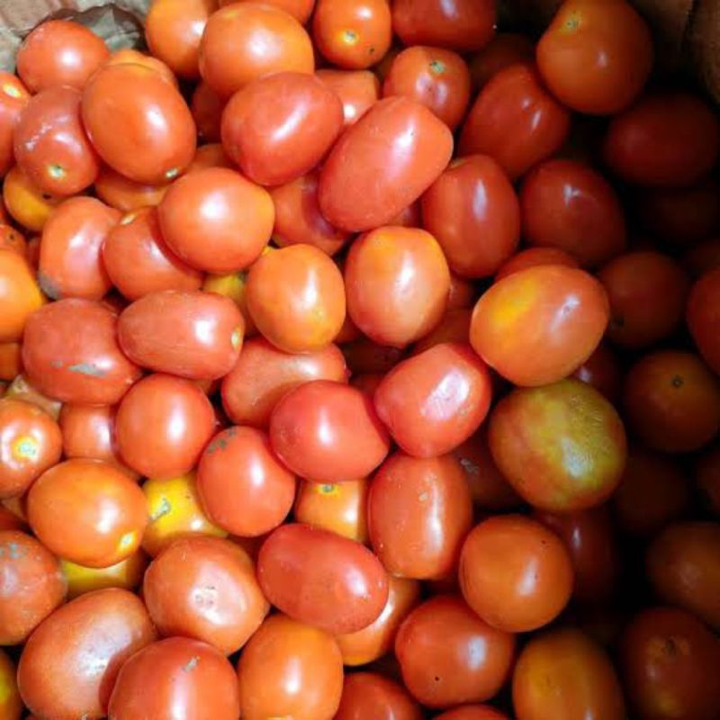 

tomat merah berat 1kg
