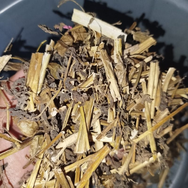 

Ciplukan Kering Kemasan 1 Ons/100 Gram Obat Herbal Obat Diabetes Dll