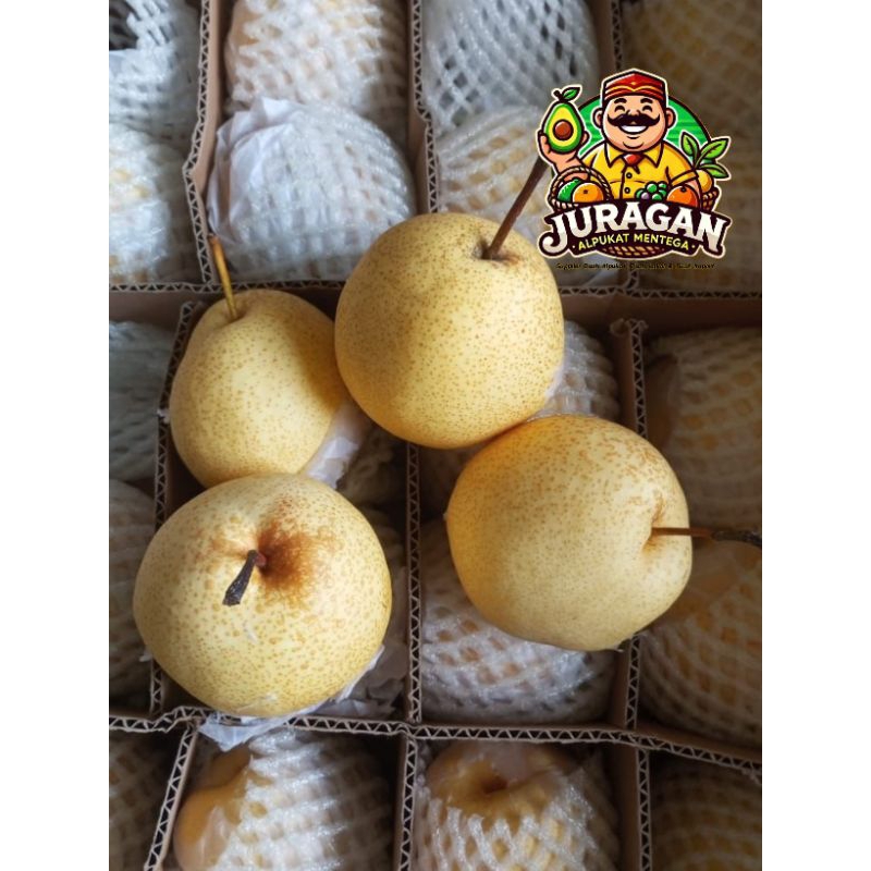 

Buah Sweet Pear Pir Madu Import Fresh /Sweet Pir Madu Pear Yalie Pear Century Fresh