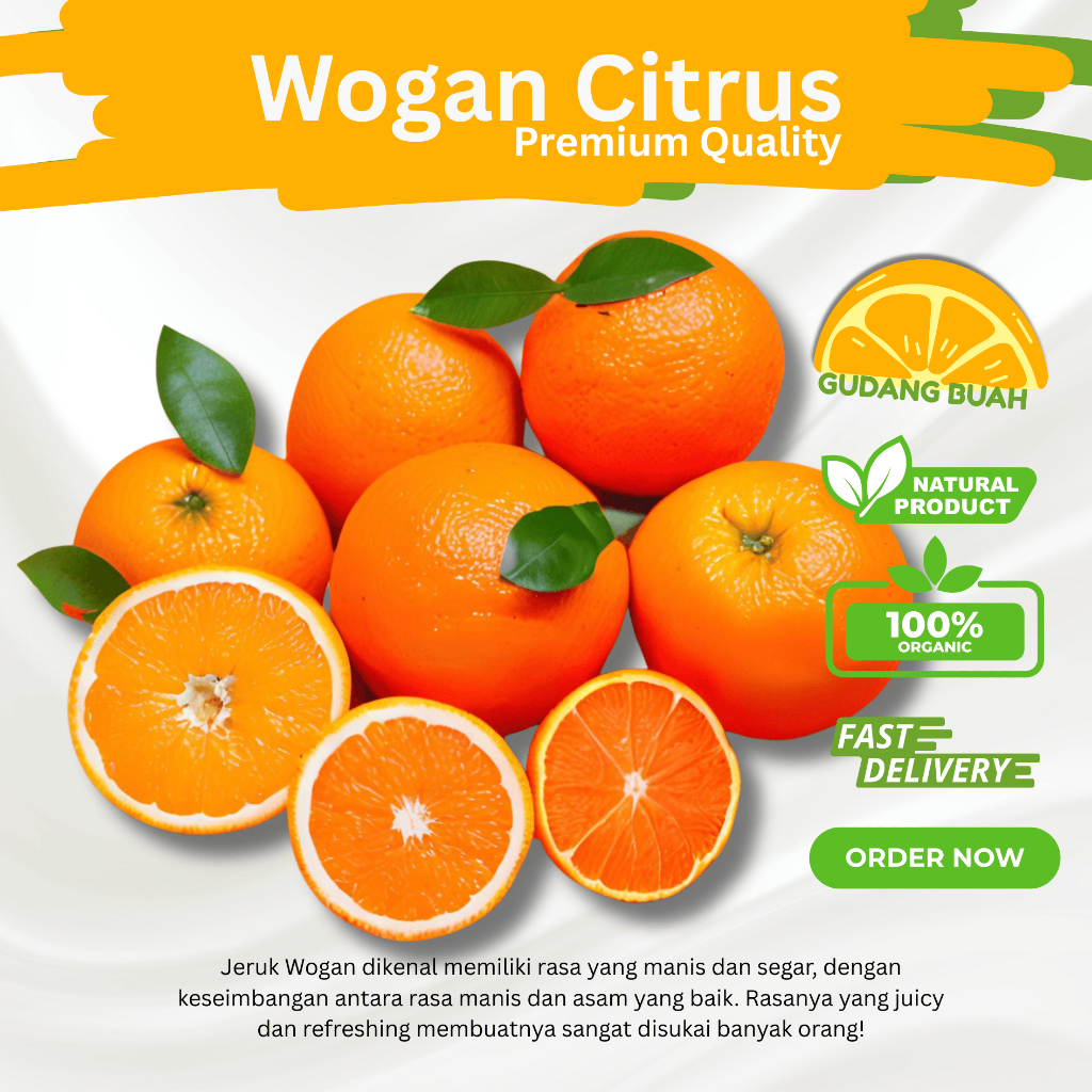 

Jeruk Wogan Citrus Mandarin Sweet Fresh Premium 1Kg