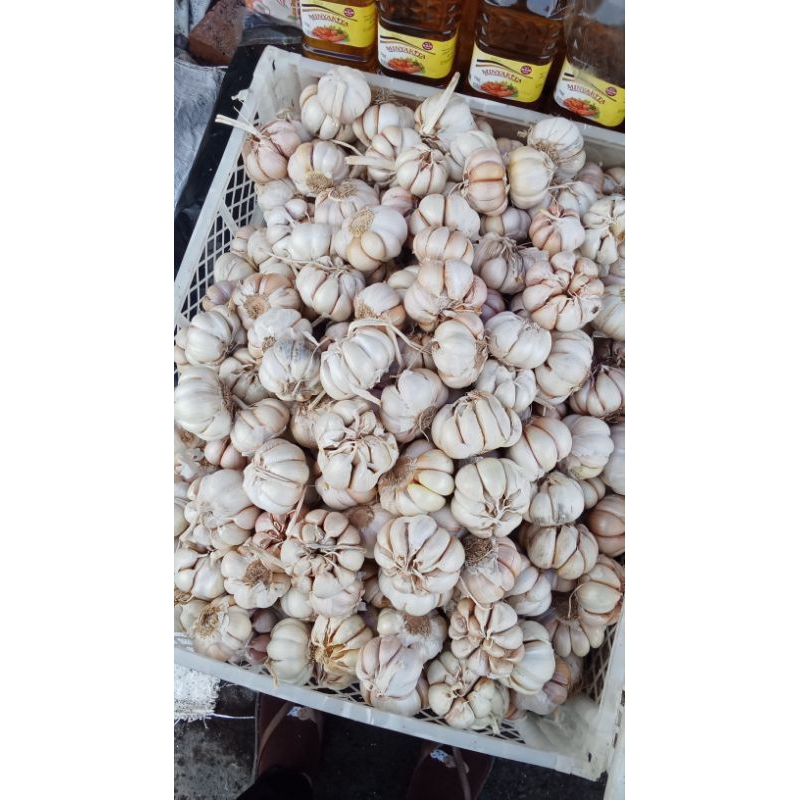 

Bawang Putih Premium