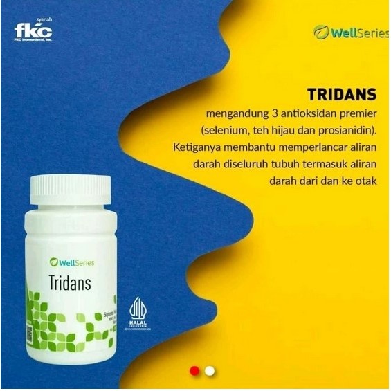 WellSeries Tridans fkc Kapsul Antibiotikad