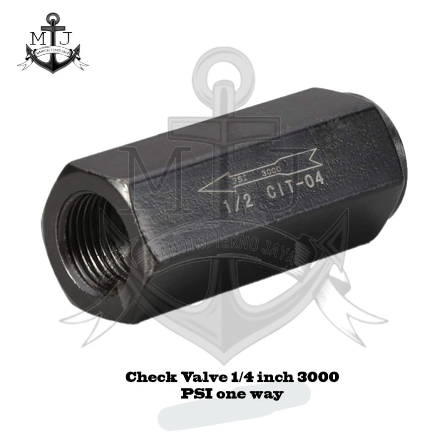 Check Valve 1/4 inch 3000 PSI one way
