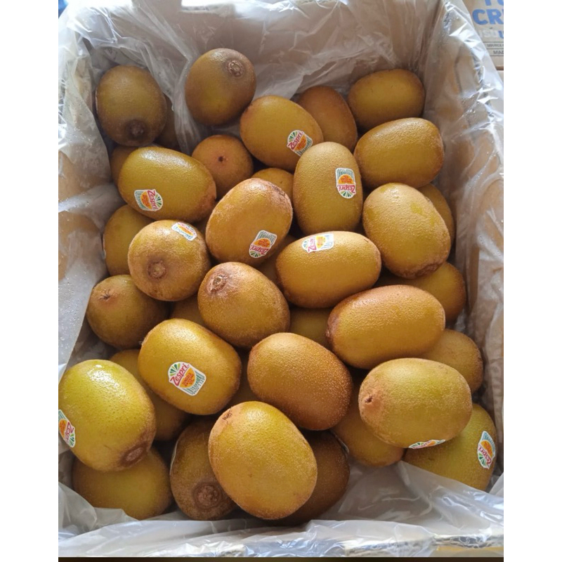

Kiwi Sungold Zespri S’27 /dus 5kg