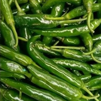 

Cabe Ijo Besar TW Fresh 1 kg / cabe hijau JUMBO