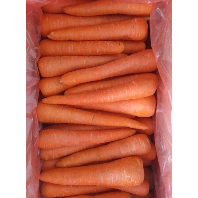 Wortel Lokal 1kg Bandung / Sayur Wortel Segar Bandung
