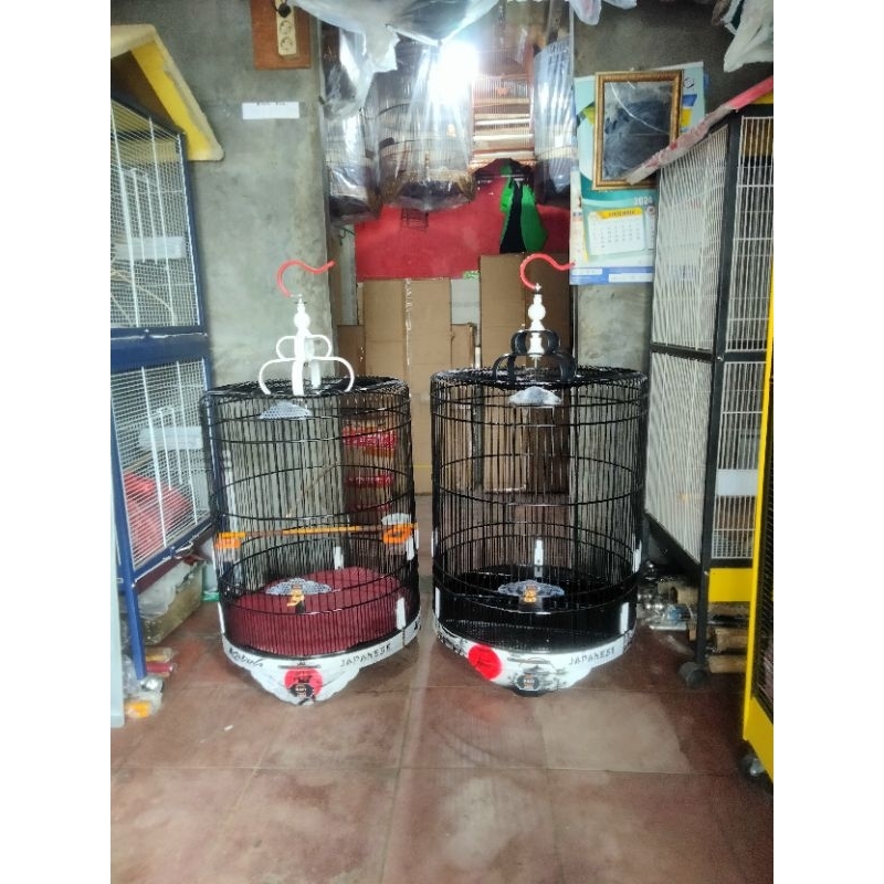 Kandang burung murai black japanese merk Rafi airbrush no 2