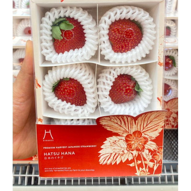 

Strawberry Hatsu Hana Japanese / Buah Strawberry Bibit Jepang / Box
