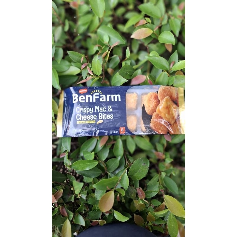 

BENFARM Mac N Cheese Bites (macaroni cheese)