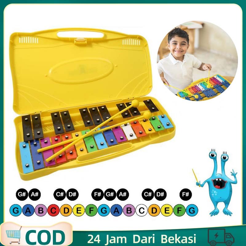 Xylophone Hadir Dalam Kotaknya Sendiri Xylophone Mainan Anak Glockenspiel Xylophone Xylophone Kayu