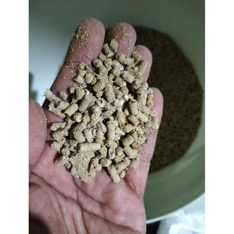 1 kg voer ayam BR pakan merpati bebek ternak unggas