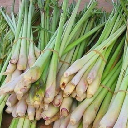 

Sereh 100 Gram Flora Fresh