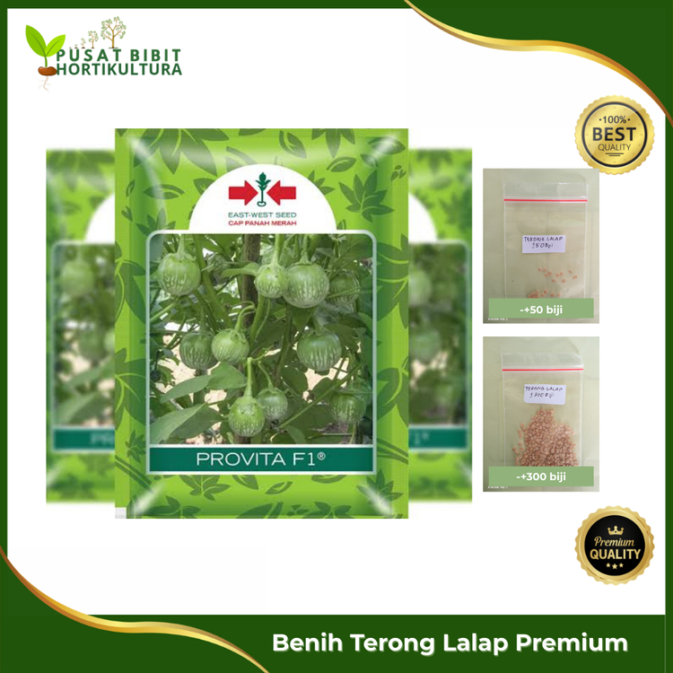 Benih Terong Lalap Hijau Cap Panah Merah – Tumbuh Cepat, Rasa Gurih, Panen Melimpah