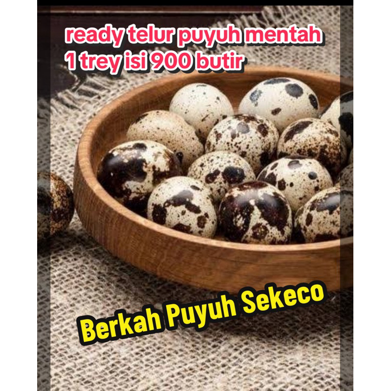 

telur puyuh konsumsi