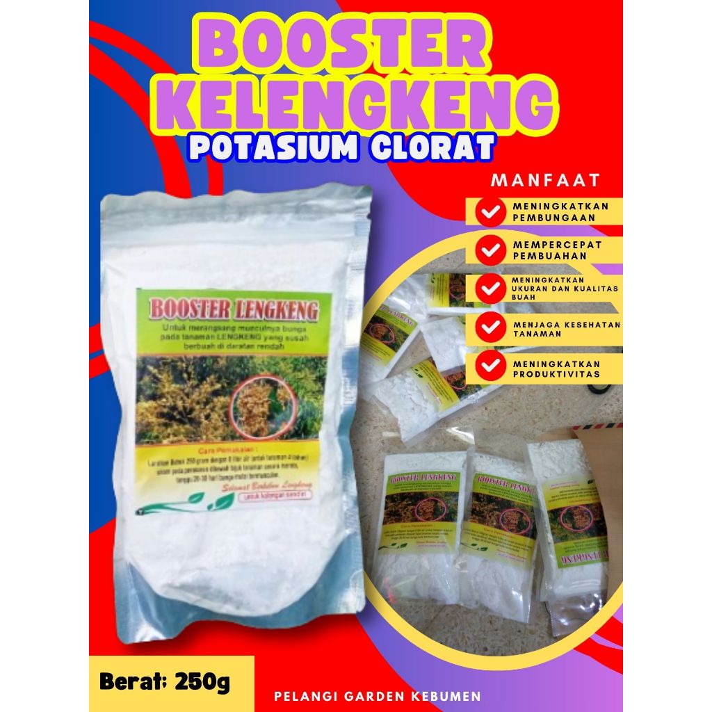 BEST SELLER  Booster Kelengkeng Kclo 3 Murni, Booster Kelengkeng Kclo 3