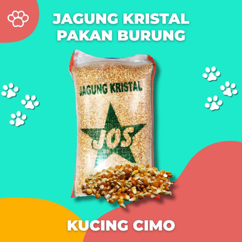 Jagung Kristal Probolinggo Pakan Burung Dara dan Merpati 25kg